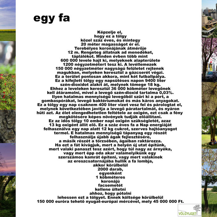 Tábla - Egy fa