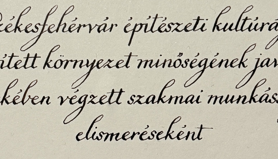 Schmidl díjat kaptunk!